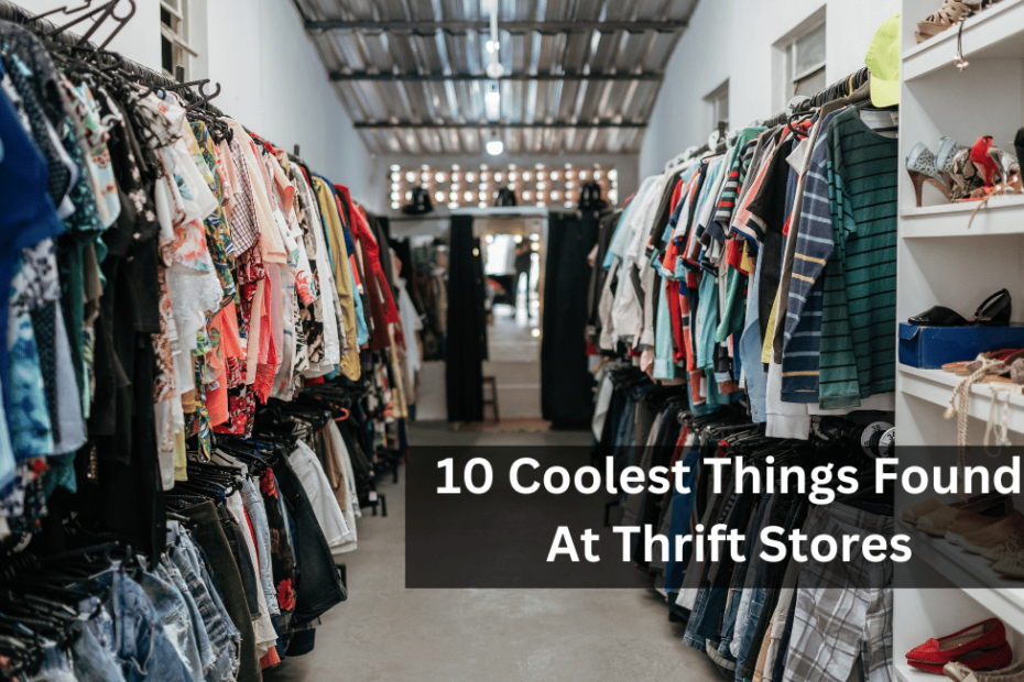 10 Coolest Things Found At Thrift Stores