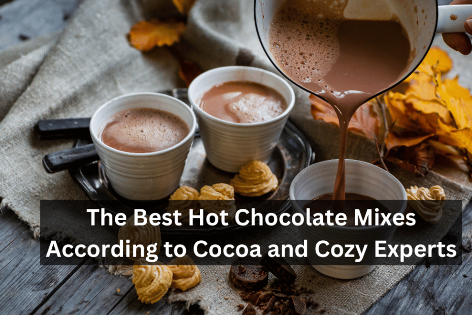 The Best Hot Chocolate Mixes According to Cocoa and Cozy Experts